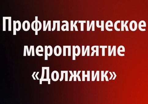 Профилактическое мероприятие «Должник».