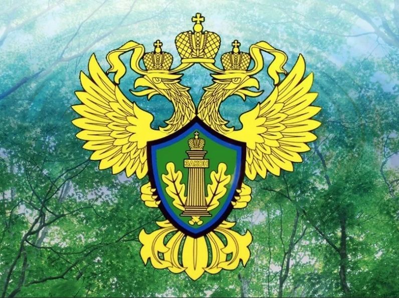 Об организации муниципального контроля.