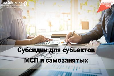 Субсидии субъектам малого и среднего предпринимательства.