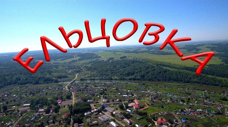 Село Ельцовка с птичьего полета.